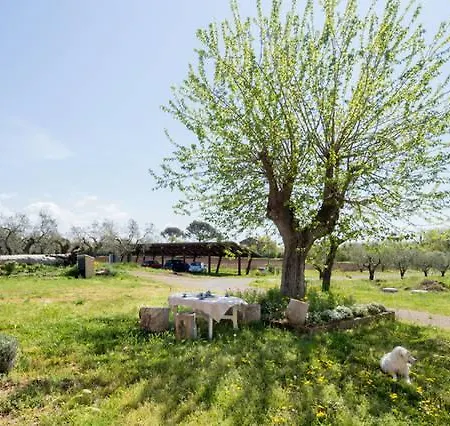 Feriegård Torre Venturini Civitella dʼAgliano